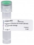 Magnesio Cloruro 100 mmol/l (100 mM) pa
