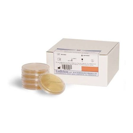 ACETAMIDE BROTH 5 ML X 20 TUBOS (Caldo acetamida)