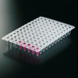 PLACA PCR 96 LOW PROFILE
