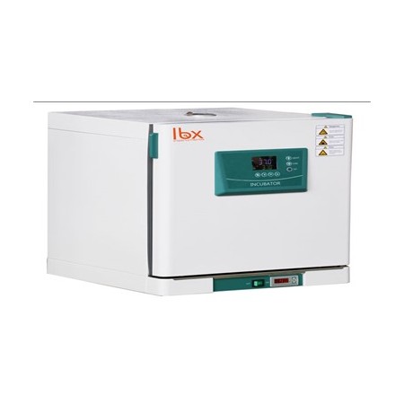 Incubadora de temperatura constante de alta precisión LBX INC65, 125L