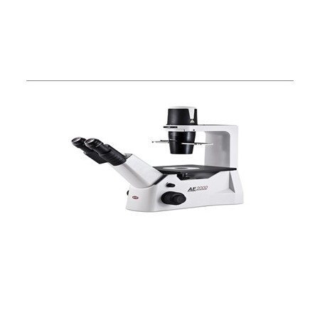 Microscopio LBX100 LED (cabezal monocular)