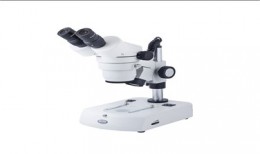 Estereomicroscopio digital DM-143-FBGG-C
