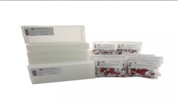 Pack ahorro de 1000 viales capsulables ámbar y 1000 cápsulas con septum de silicona/PTFE