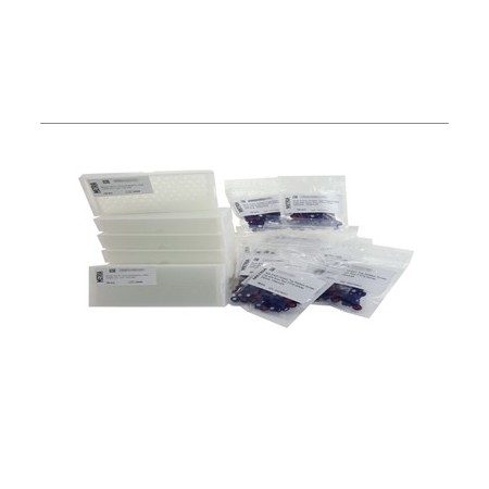 Vial roscado ambar 12x32 mm con tapón rosca 9-425 y septum de silicona blanca/PTFE, 1000 ud (DUPLIC