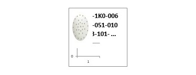 Placa de plástico para desecador DE2P-200-001, PP, 189 x 7,3 mm