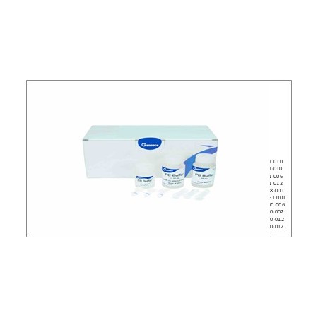 dNEAT Kit de purificación de plásmidos Kit, 50 rxn