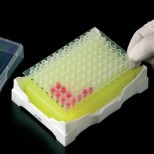 GRADILLA ISOFREEZE PARA PCR