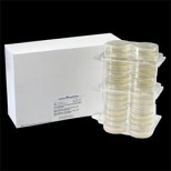 R2A. Agar (Ph. Eur.) (Placa Preparada (Ø 55 mm)) para microbiología