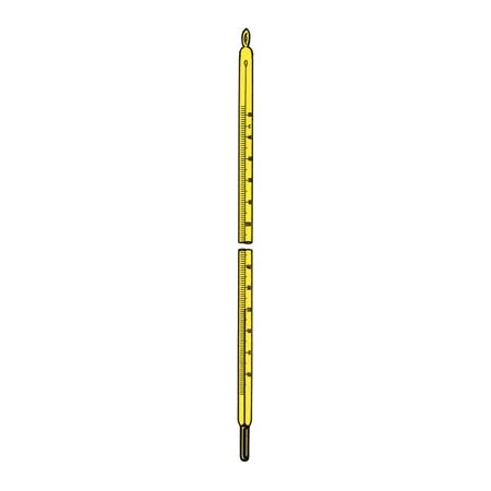 TERMOMETRO V.AMA.-10+100ºC.1/1