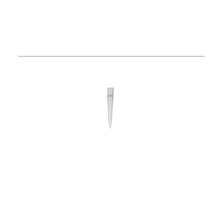 Puntas para micropipetas con filtro, 1000 µl, Premium Line, 1000 uds